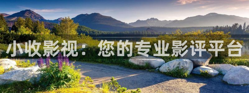 南瓜影院电视版：小收影视：您的专业影评平台