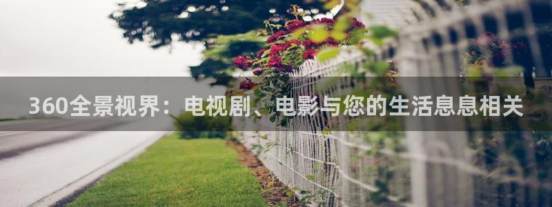 广西密本南瓜：360全景视界：电视剧、电影与您的生活息息相关