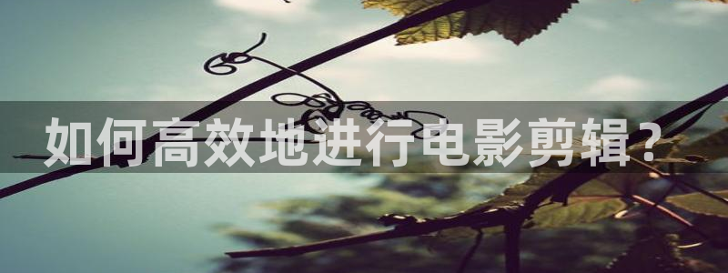 南瓜电影官网：如何高效地进行电影剪辑？