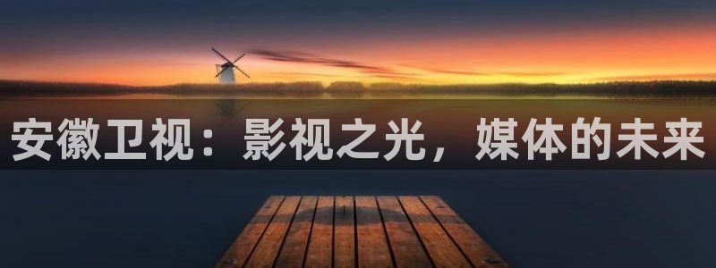 日本的南瓜：安徽卫视：影视之光，媒体的未来