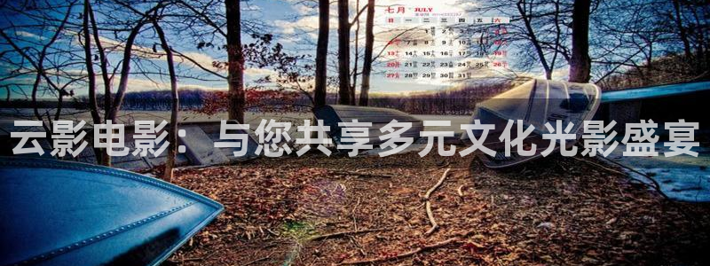 南瓜电影是什么平台：云影电影：与您共享多元文化光影盛宴