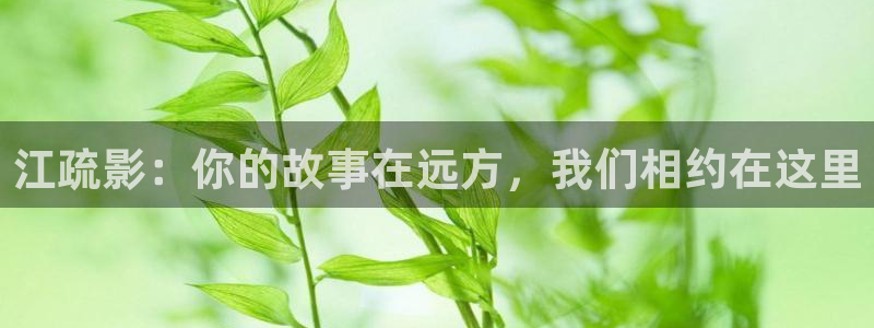 宁波南瓜：江疏影：你的故事在远方，我们相约在这里