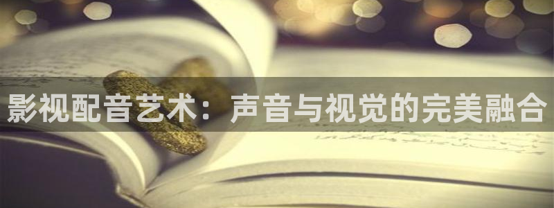南瓜影视最新版下载：影视配音艺术：声音与视觉的完美融合