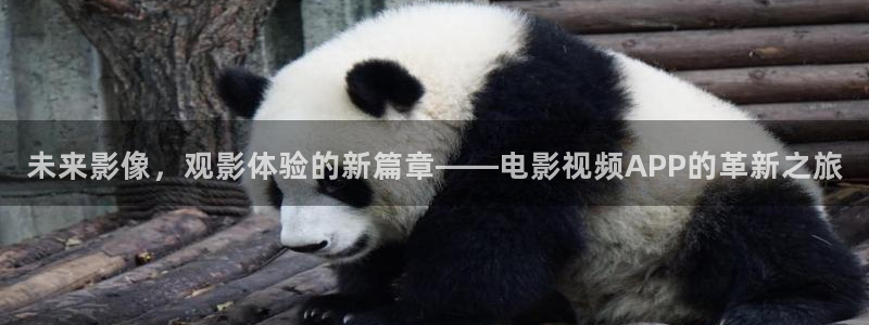 南瓜电影上有哪些好看的电影：未来影像，观影体验的新篇章——电影视频APP的革新之旅